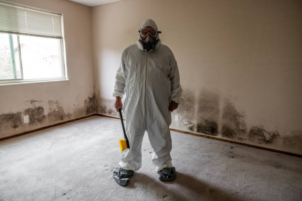 Best Office Mold Removal Services  in Temesl Valley, CA